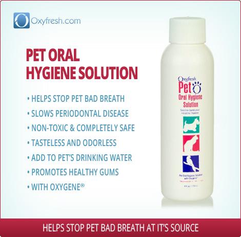 Oxyfresh pet sale oral hygiene